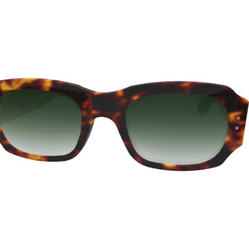 Ray - Custom