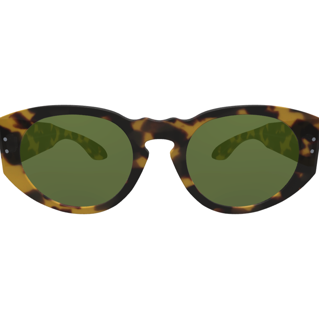 Ari2 - Custom
