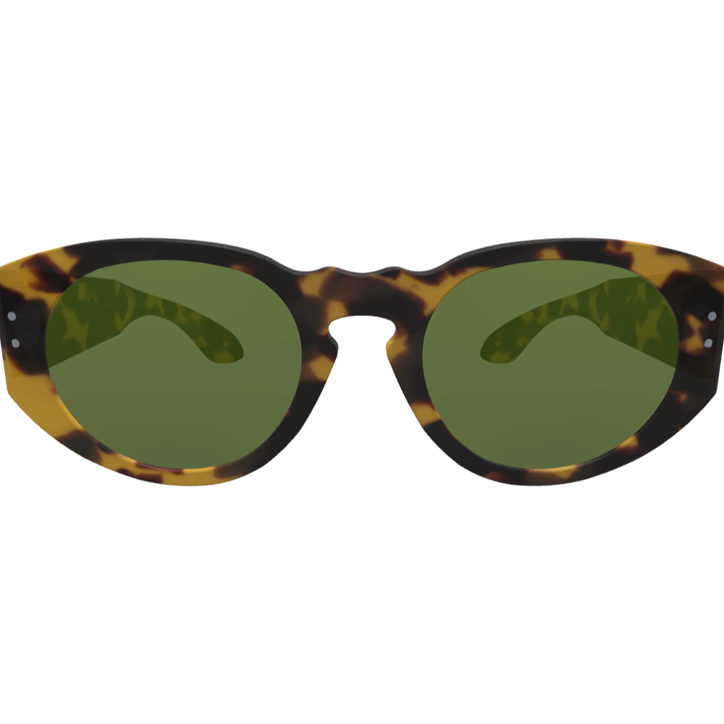 Ari2 - Custom