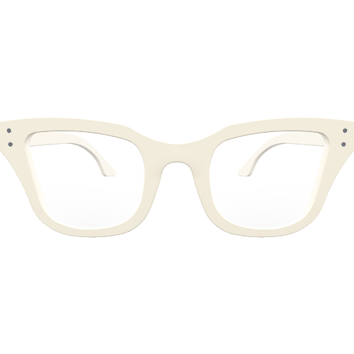 Fly - Custom
