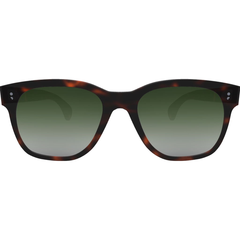 Dylan - Custom