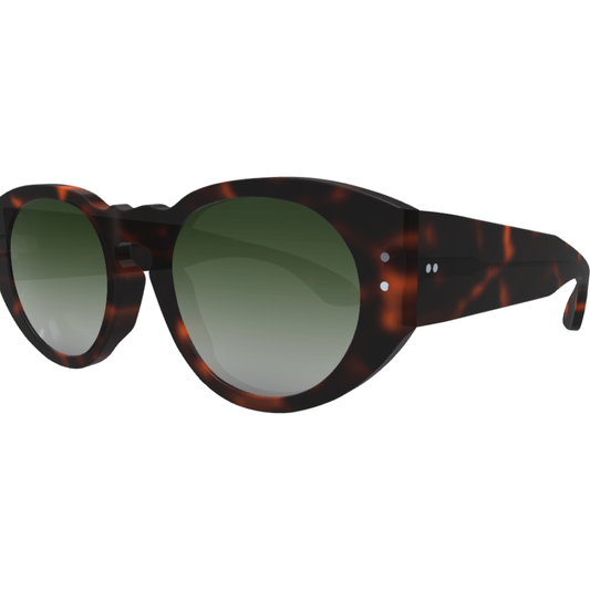 Ari2 - Custom