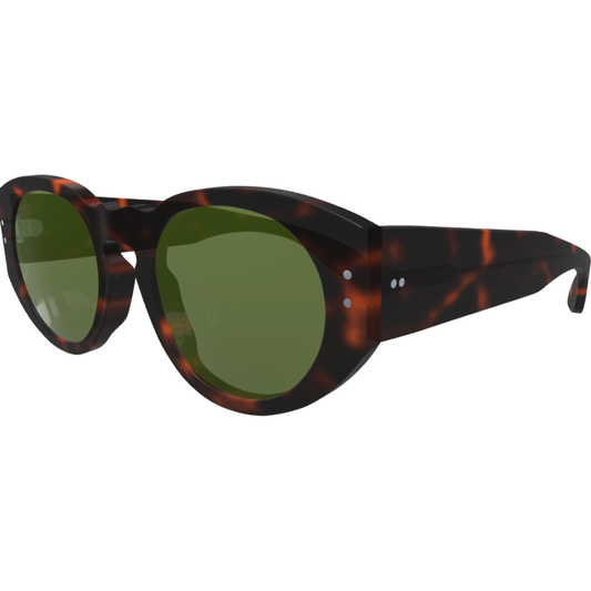 Ari2 - Custom