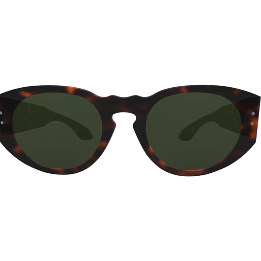 Ari2 - Custom