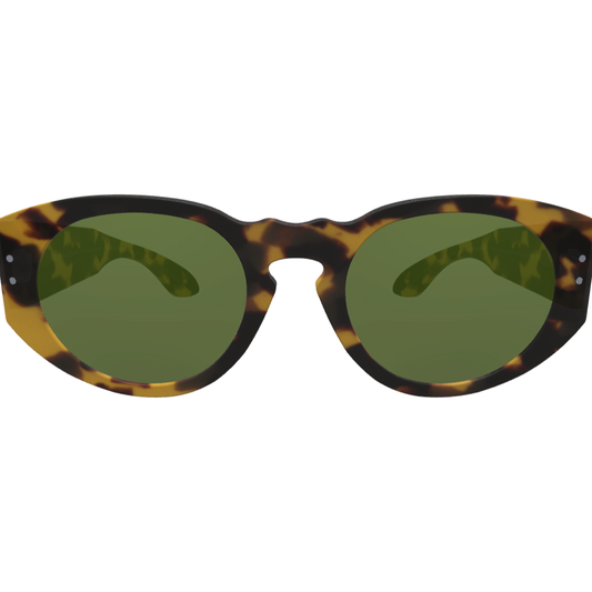 Ari2 - Custom