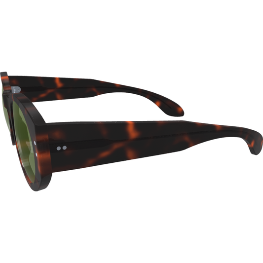 Ari2 - Custom