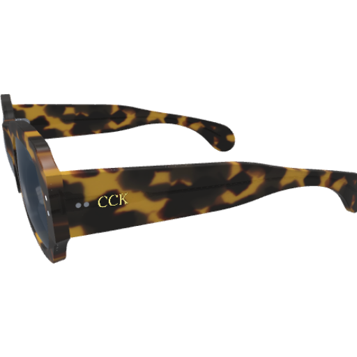 Ray - Custom