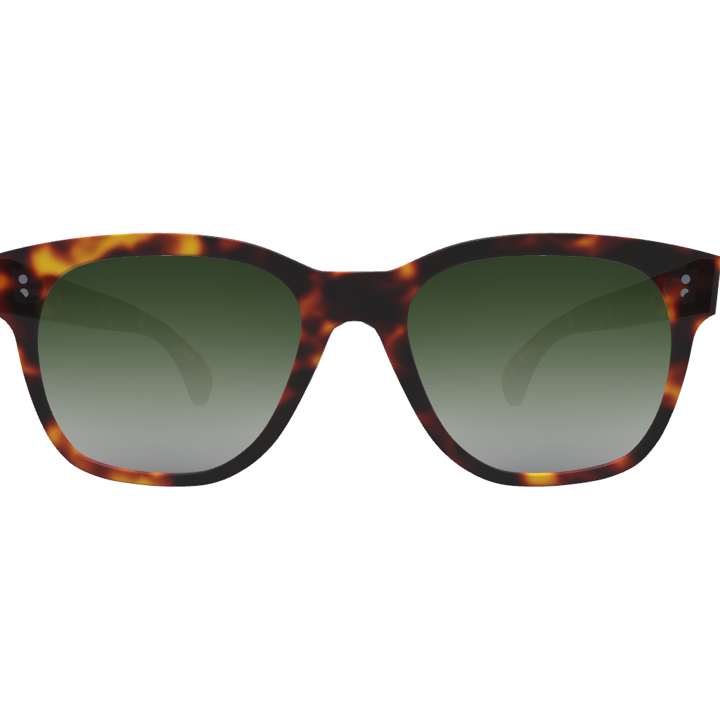Dylan - Custom