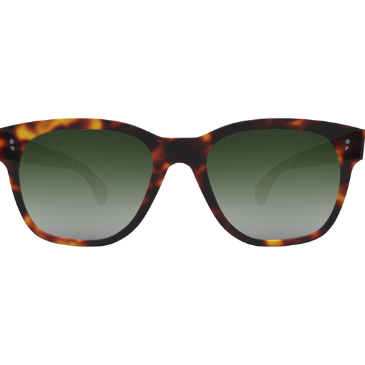 Dylan - Custom