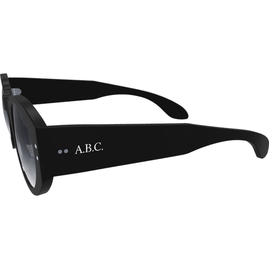 Ari2 - Custom