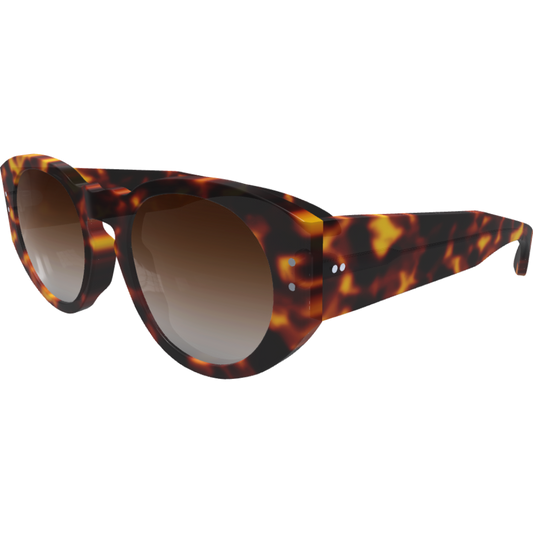 Ari2 - Custom